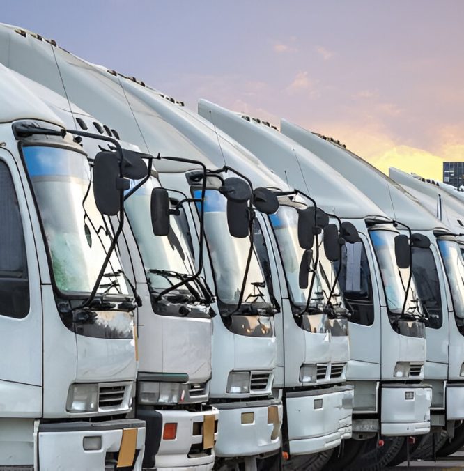 imagen_transport_1